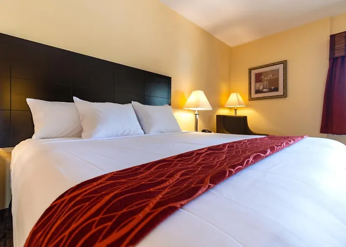 Comfort Near Grand Canyon 4* Williams