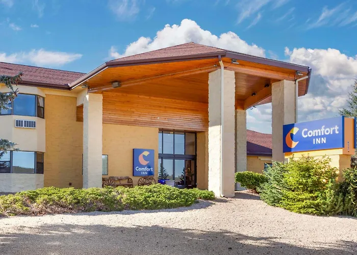 Comfort Near Grand Canyon Inn Williams