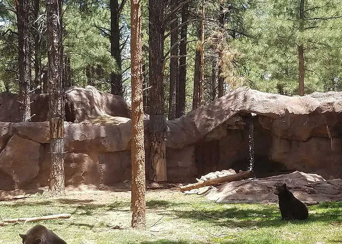Comfort Near Grand Canyon